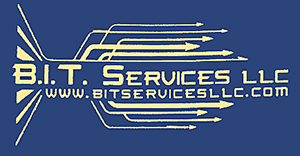 BIT Services